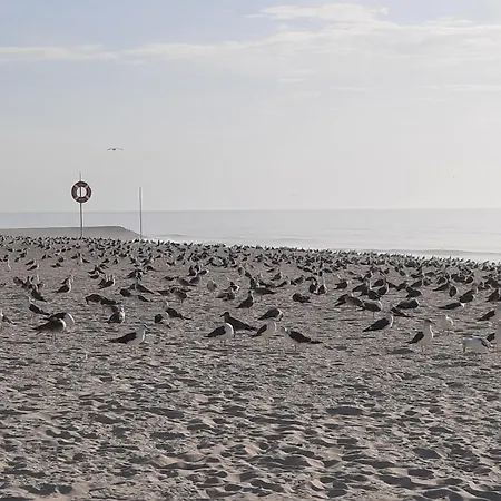 Βίλα Do Praia de Mira